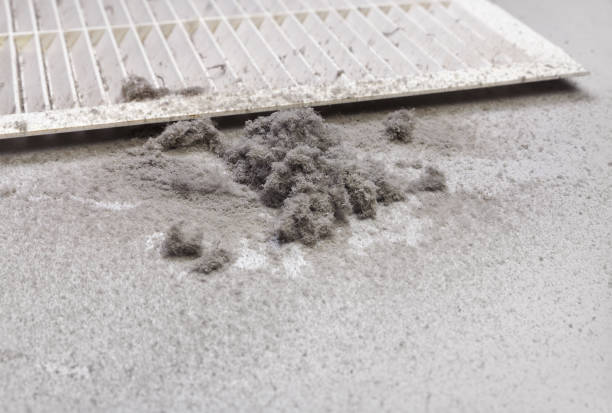 Best Ventilation Cleaning Services  in Eagle Grove, IA