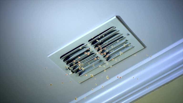 Best Air Duct Mold Removal  in Eagle Grove, IA