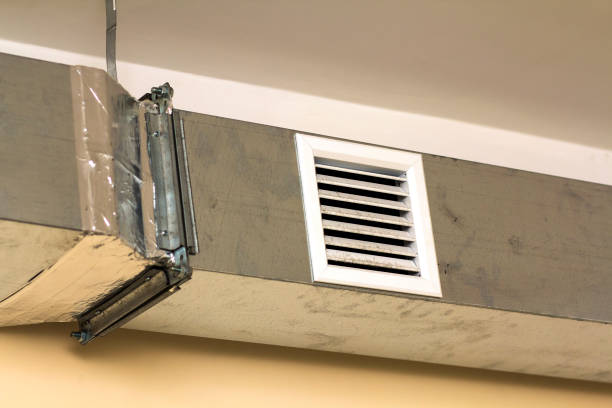Best Professional Duct Cleaning Services  in Eagle Grove, IA